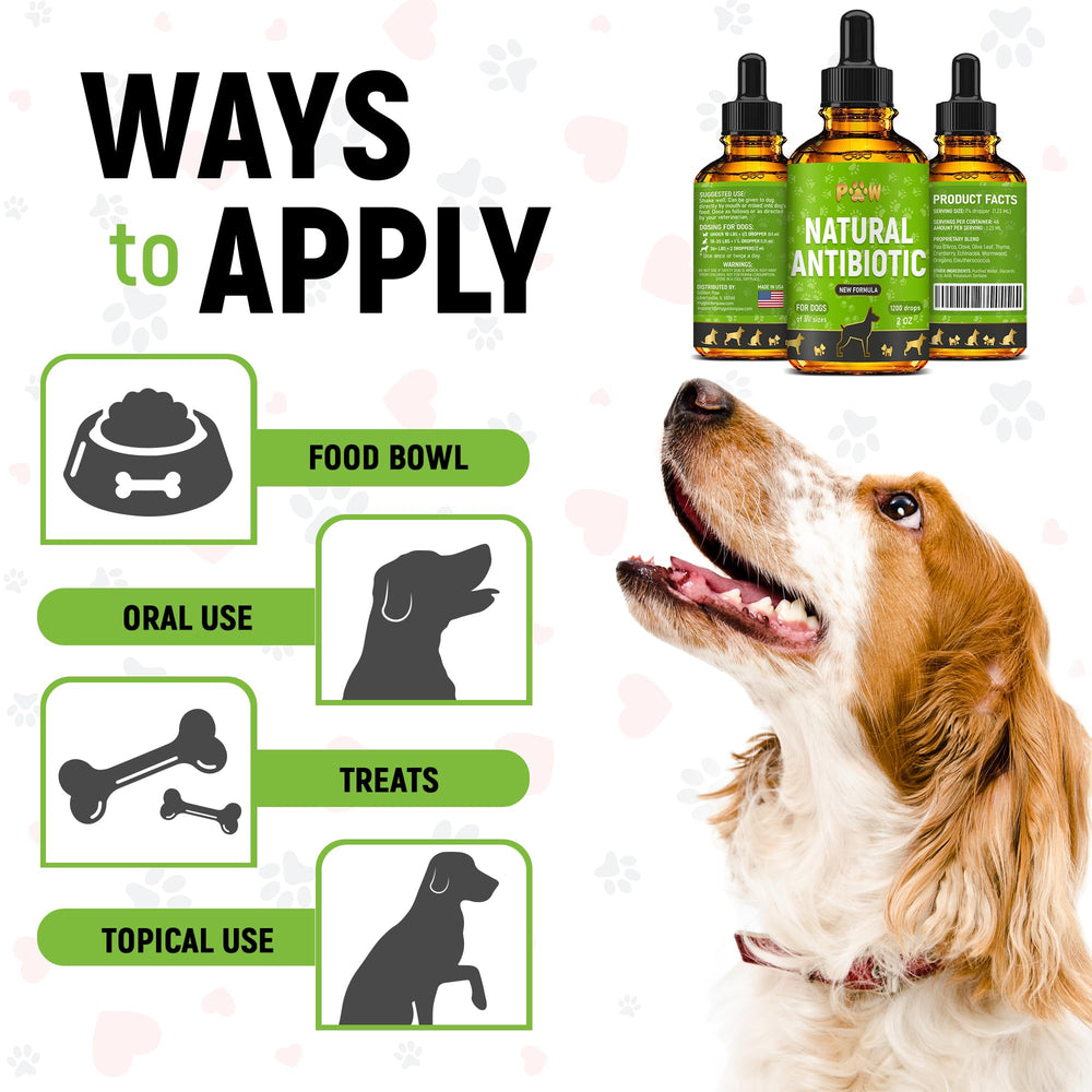 Golden Paw mezcla nutrientes esenciales para energía y vitalidad del perro.