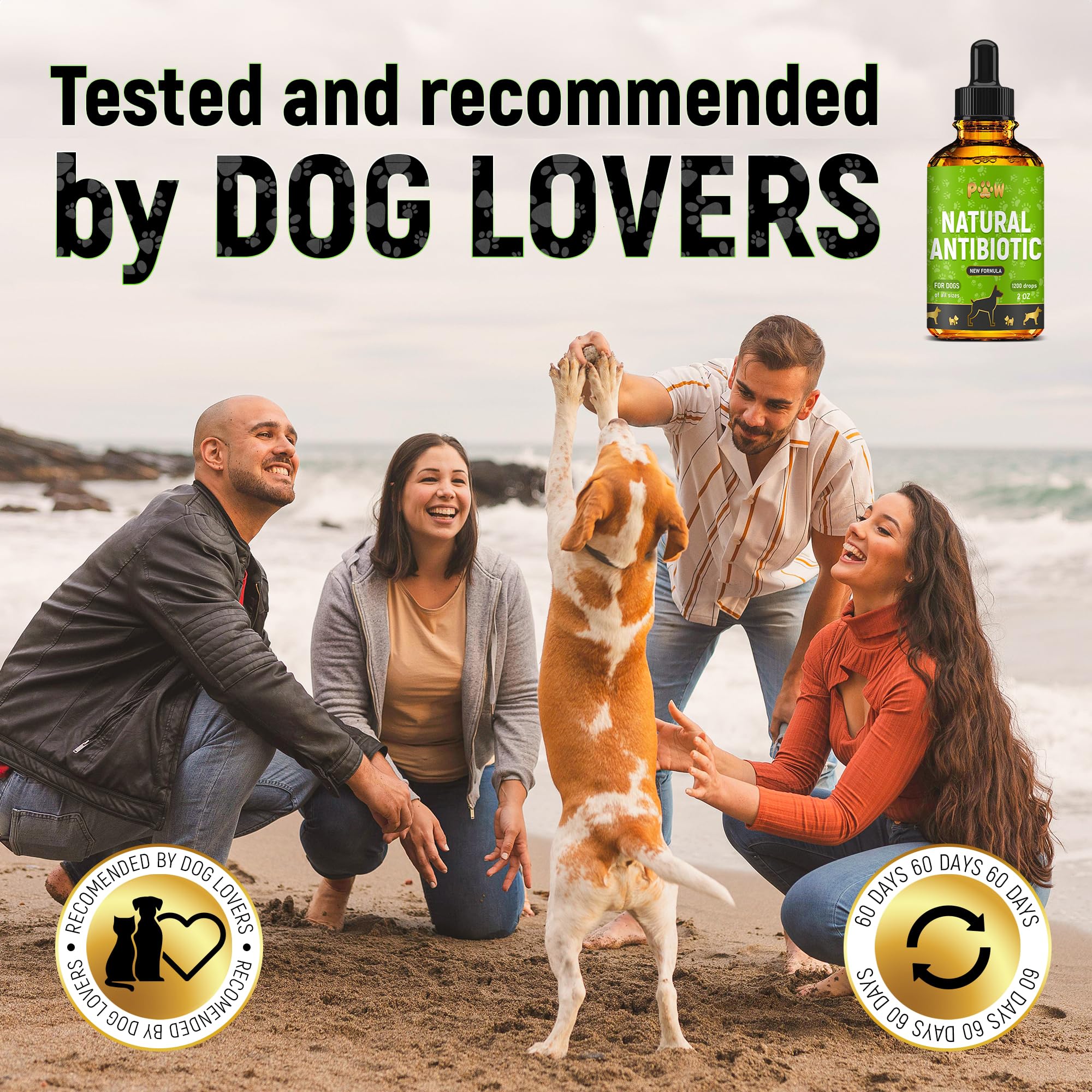 Golden Paw cuidado atento y amoroso para el bienestar de tu mascota.