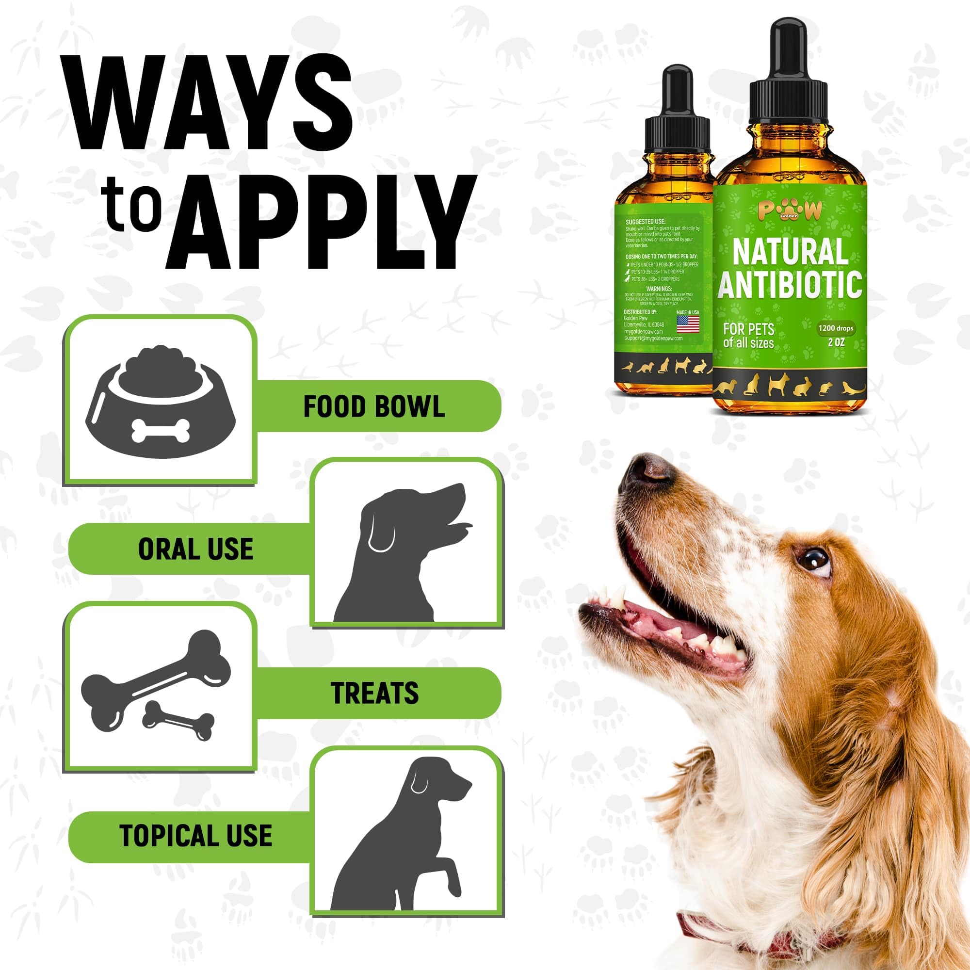 Golden Paw antibióticos naturales para gatos, gato tranquilo y cómodo.