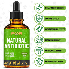 Golden Paw antibióticos naturales, primeros planos de ingredientes, beneficio potencial para piel y digestión.