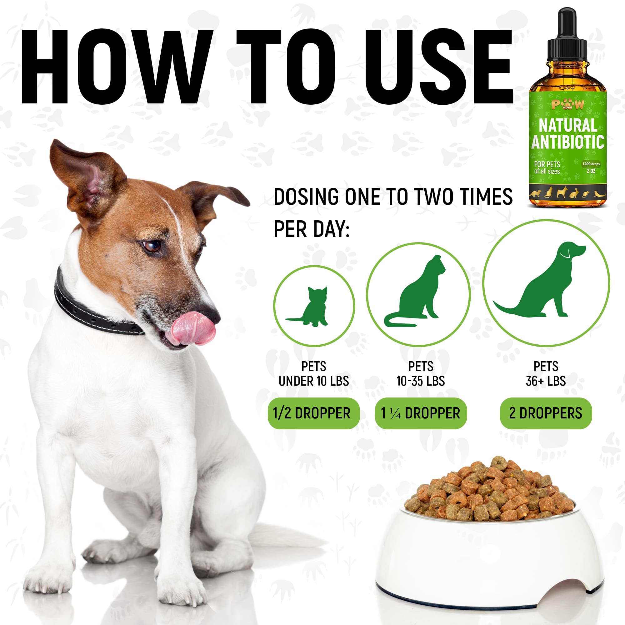 Golden Paw antibióticos naturales para perros, perro pequeño relajado y cómodo.