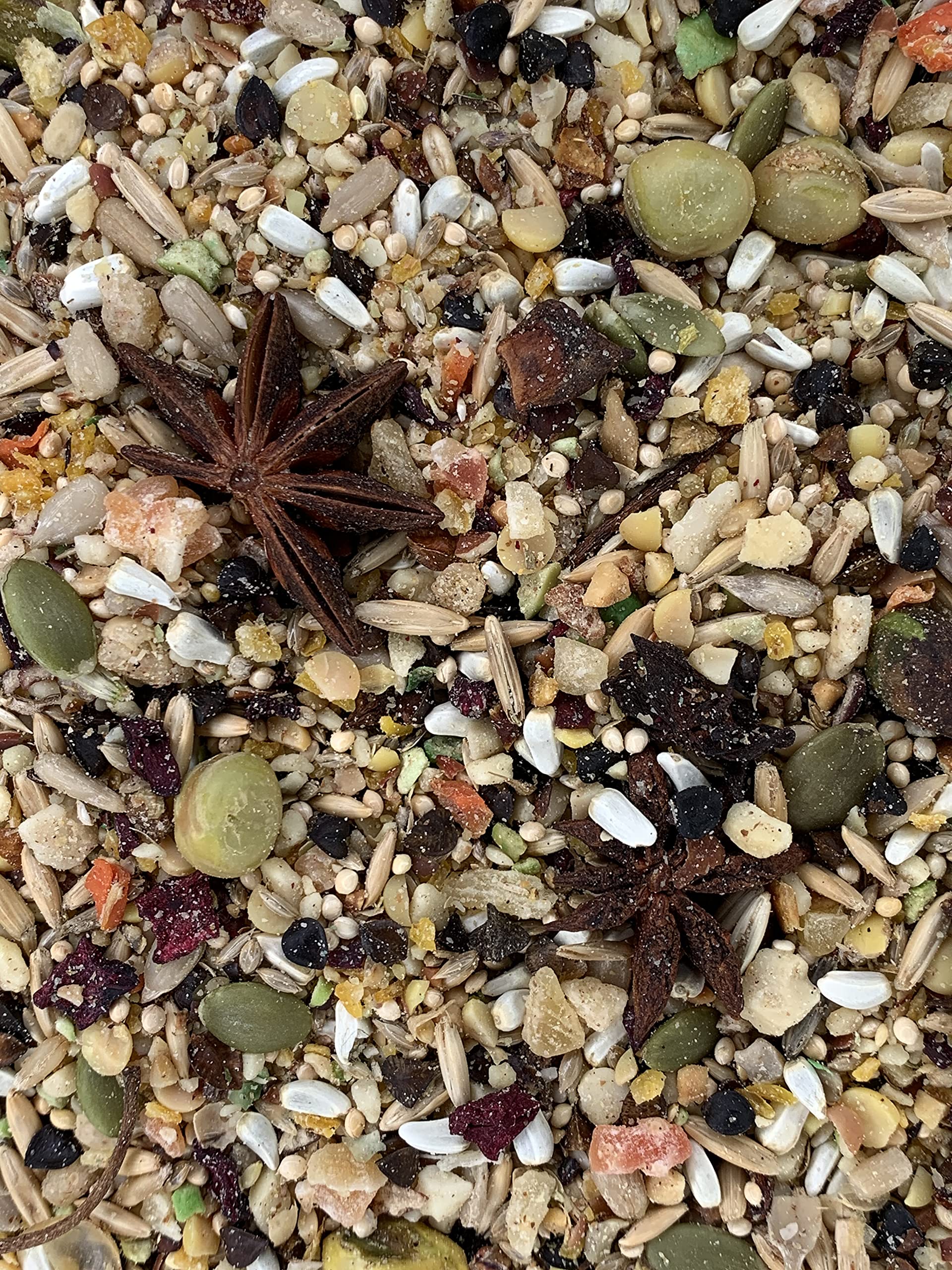 Goldenfeast VL Mezcla Sudamericana, aves comiendo, ideal para forrajeo y variedad de dieta.