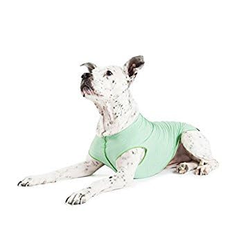 Gold Paw: lavable a máquina en verde pistacho, fácil de limpiar tras las salidas.