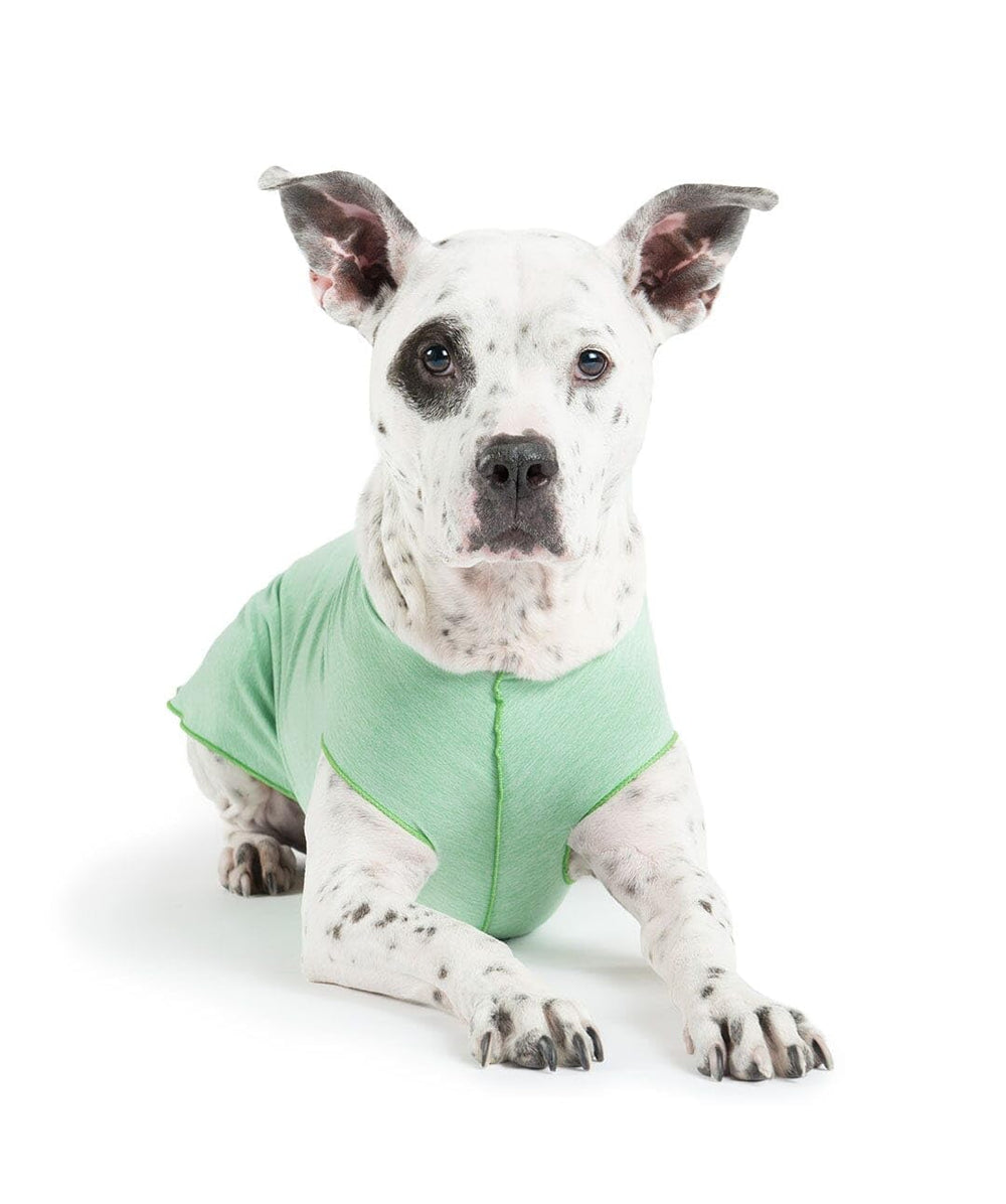 Gold Paw: camiseta solar para perros con protección ultravioleta, ideal para paseos soleados.