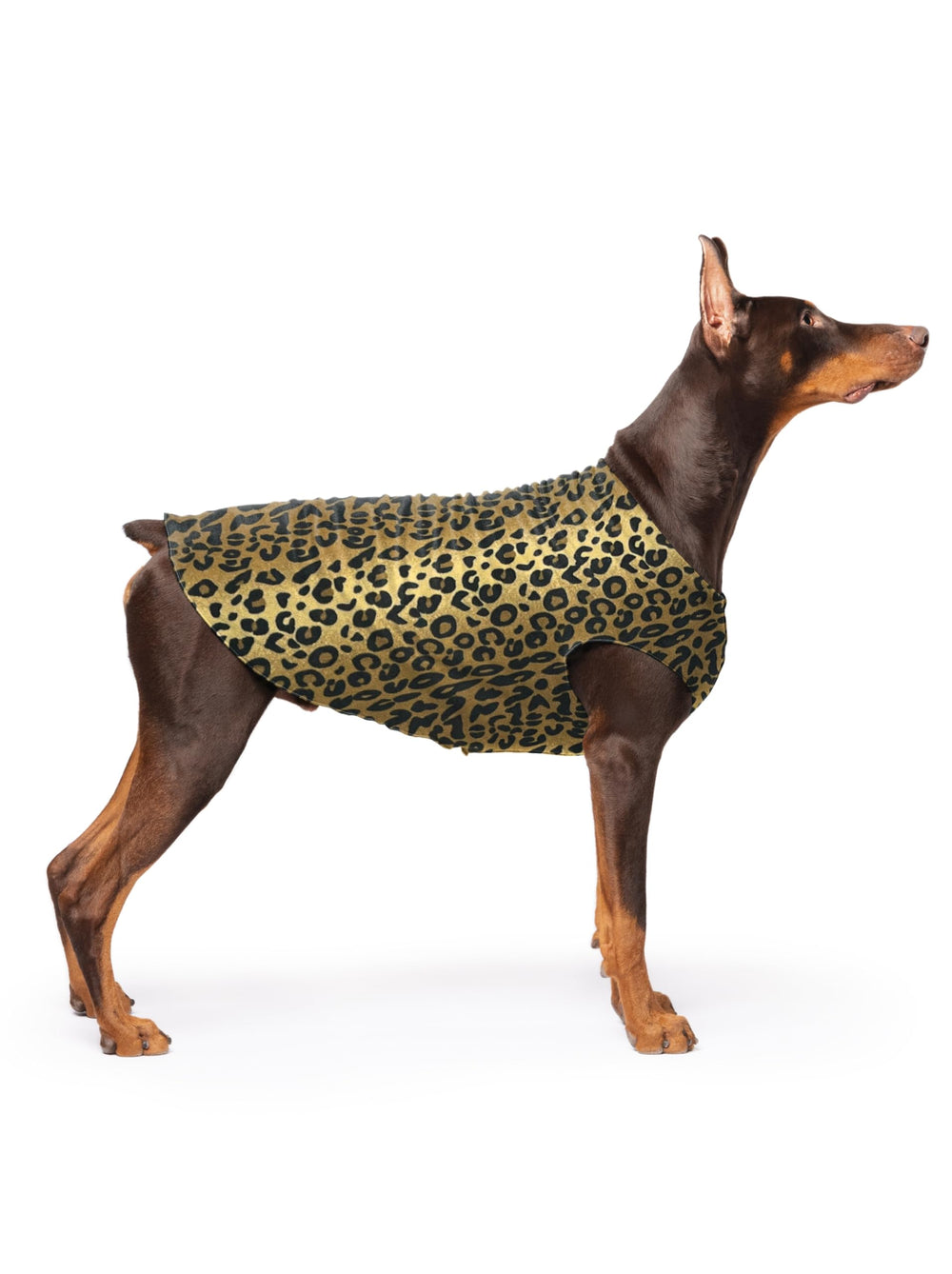 Gold Paw chaqueta polar estirable en leopardo, ideal para paseos cálidos en invierno.
