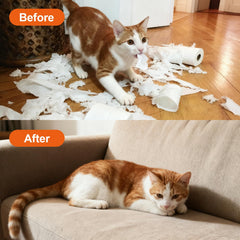 GOLRISEN repelente para gatos, uso exterior, mantiene zonas exteriores libres de marcas.