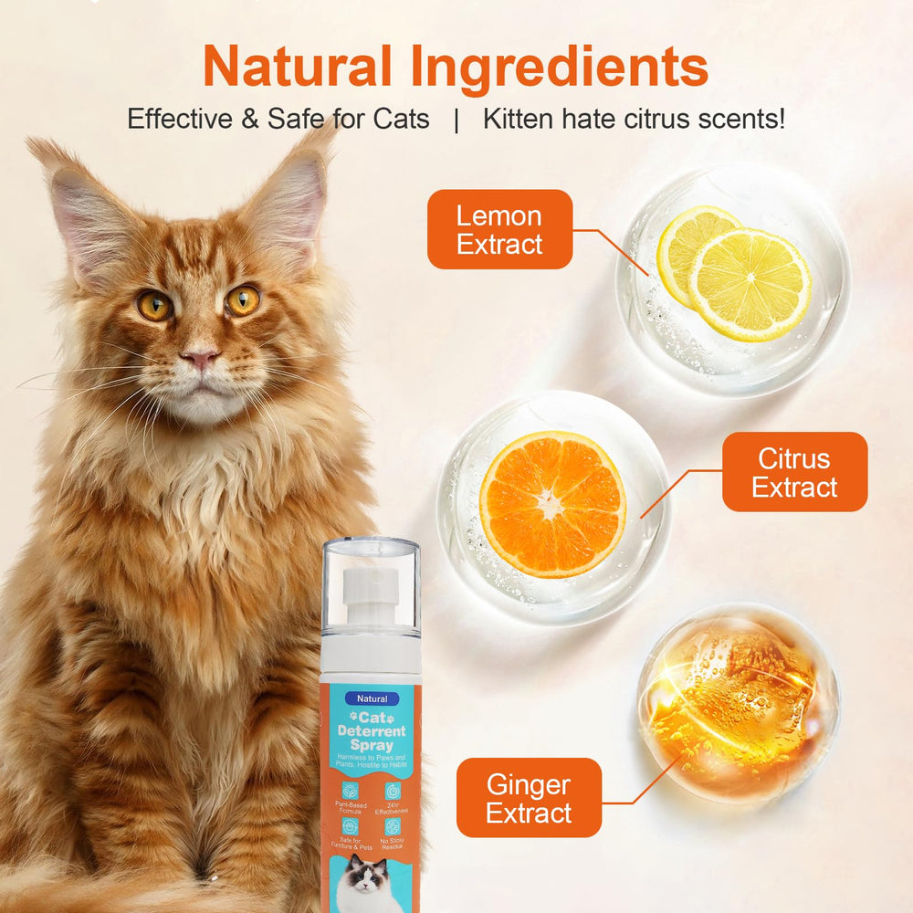 GOLRISEN repelente para gatos, uso interior, protege muebles y textiles.