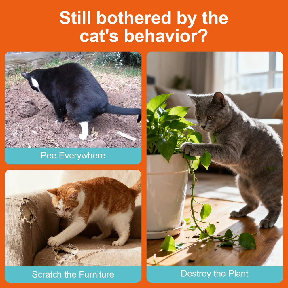 GOLRISEN repelente para gatos, protege muebles y plantas de arañazos.