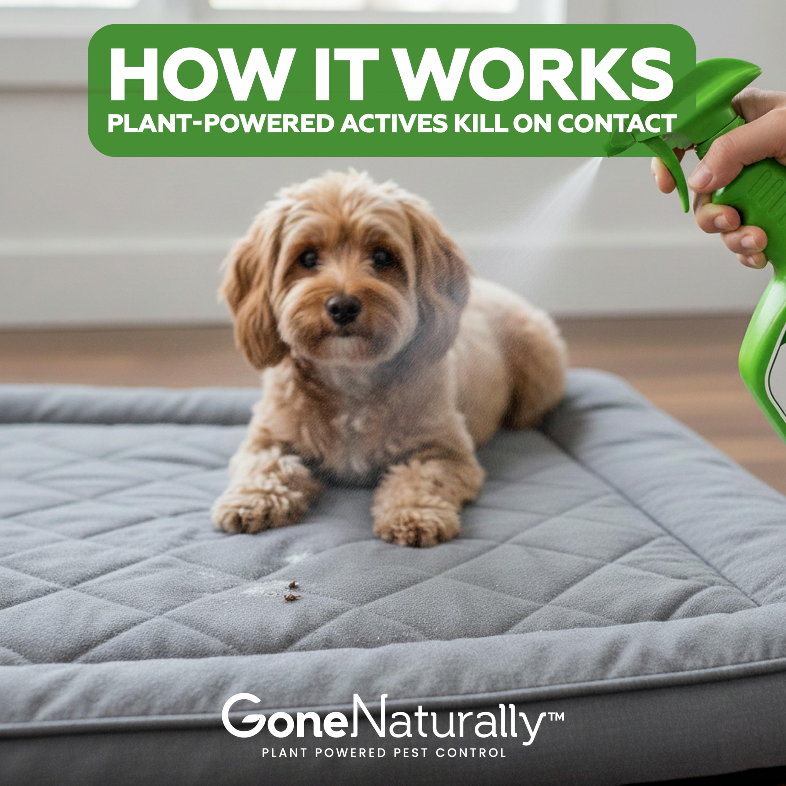 GoneNaturally camas-y-ropa-perro: tratamiento de áreas de descanso para un hogar más limpio.