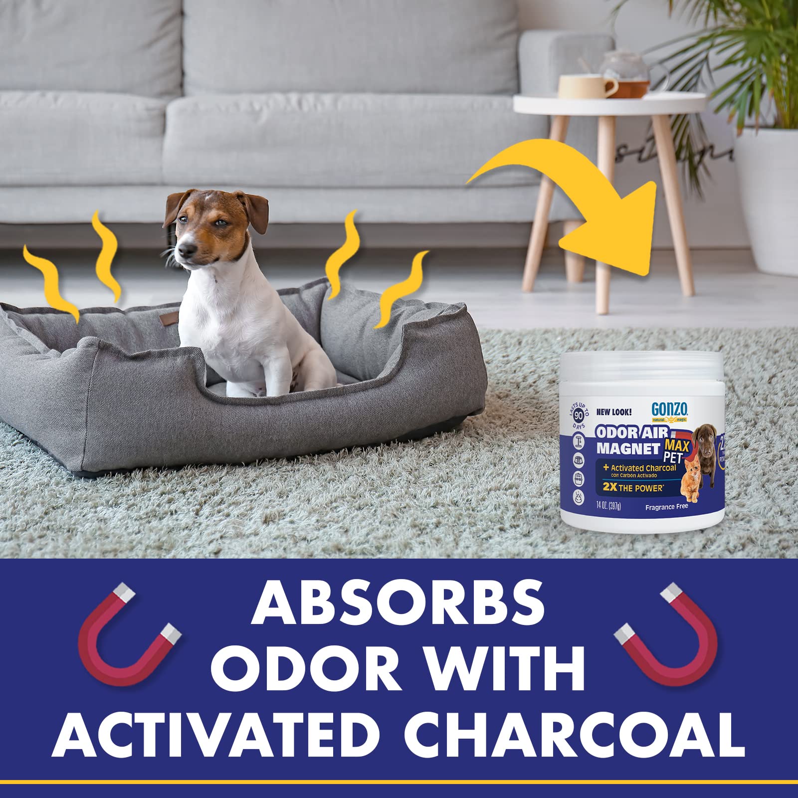 Gonzo Natural Magic Carbón Activado seguro para mascotas y niños: cuidado en casa