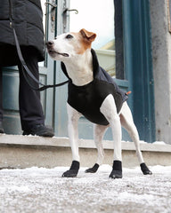 GOO EEZ Botas Ultras para perro, protección contra elementos en exteriores.