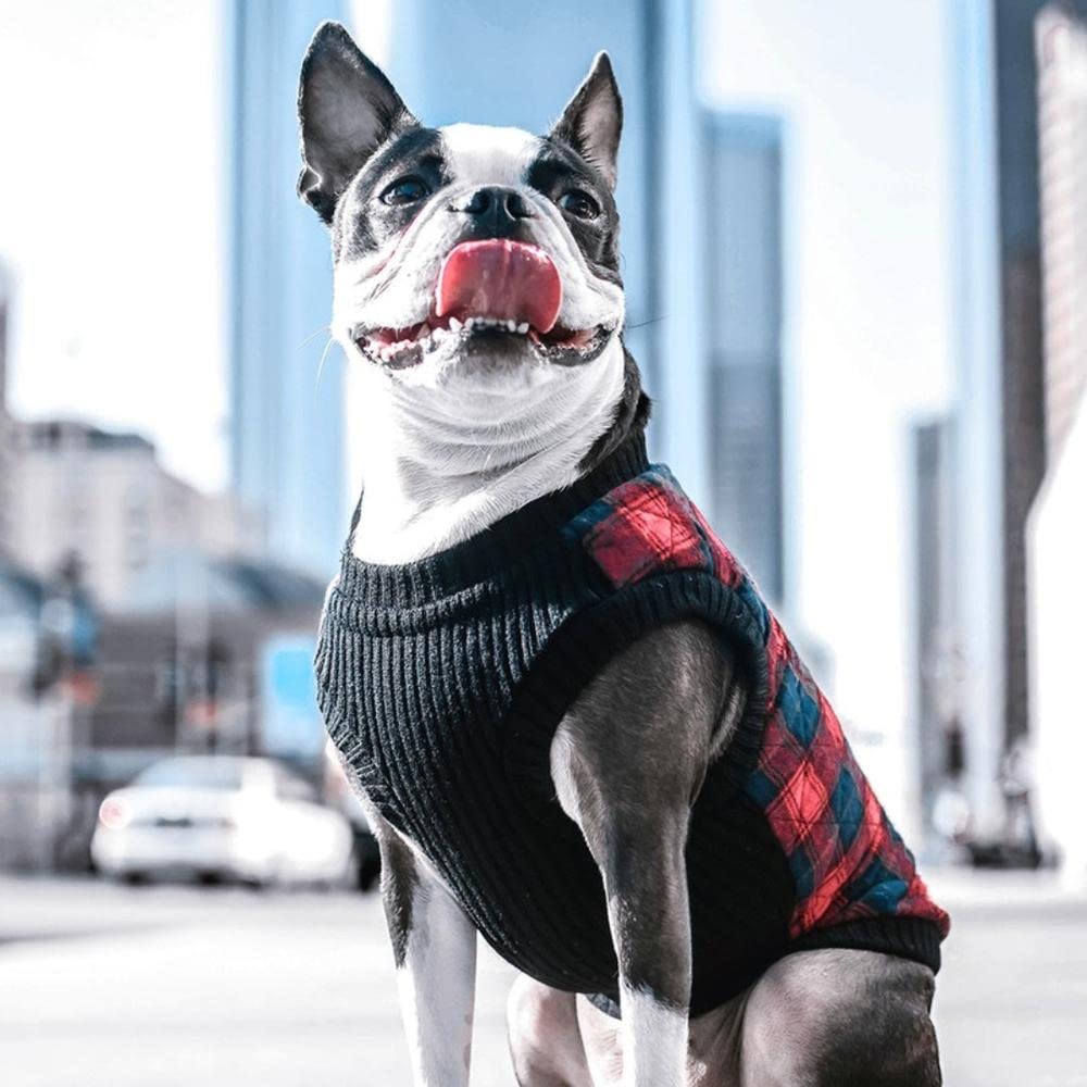 Gooby chaleco bomber forro interior cálido: cómodo y suave al tacto