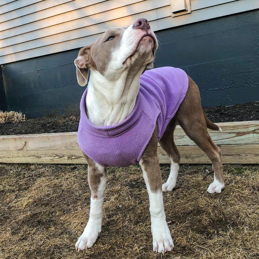 Gooby chaleco fleece estirable lavanda grande, compatible con perros grandes y formas únicas