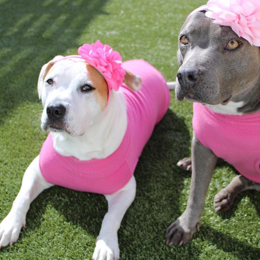 Gooby chaleco elástico para perros grandes: ajuste perfecto