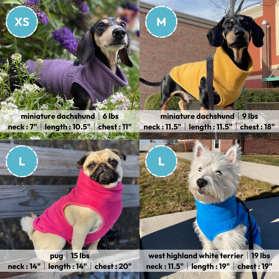 Gooby chaleco polar azul, ideal para salidas diarias de perros pequeños a medianos.