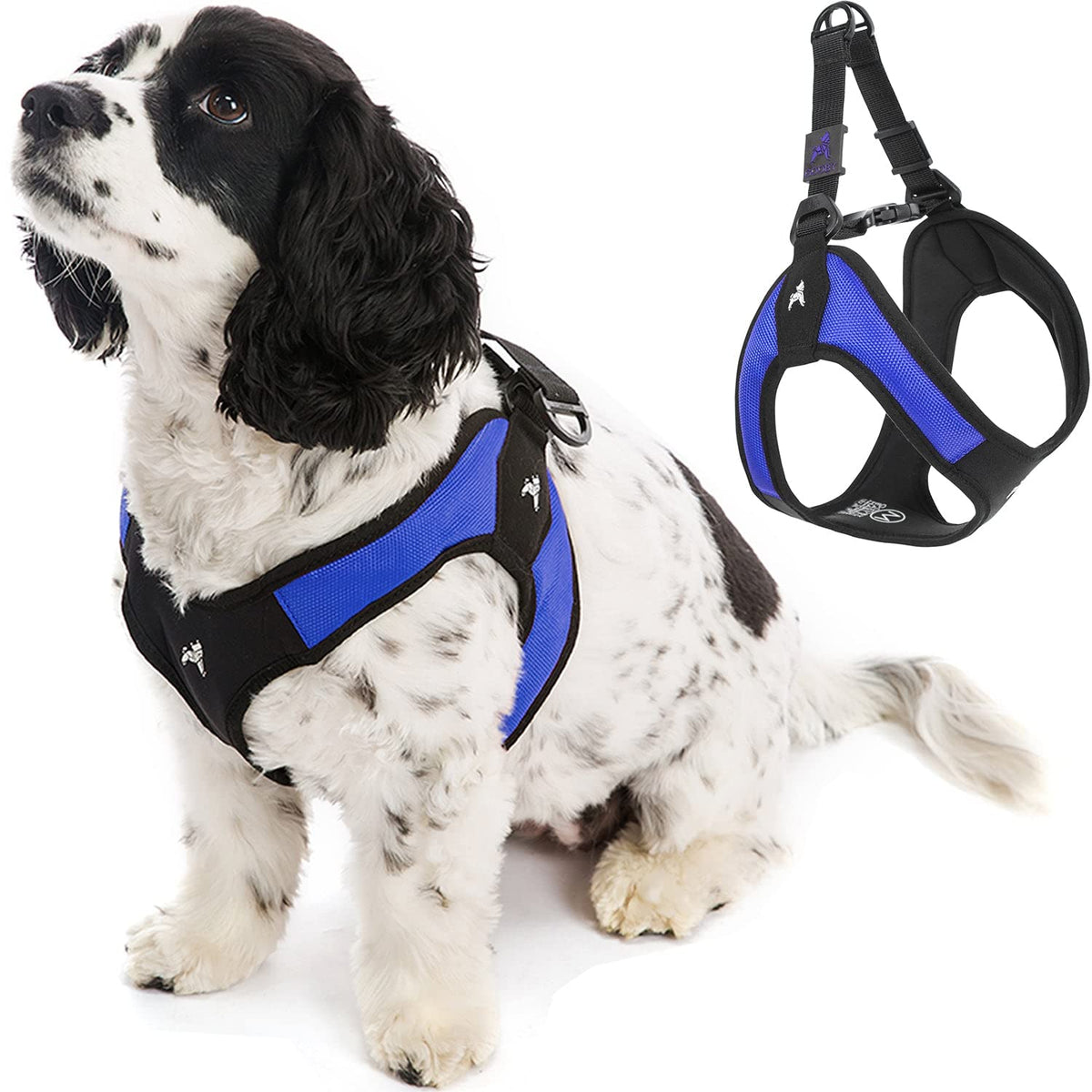 Gooby arnés azul para perro pequeño, ajuste cómodo que previene que el perro huya.