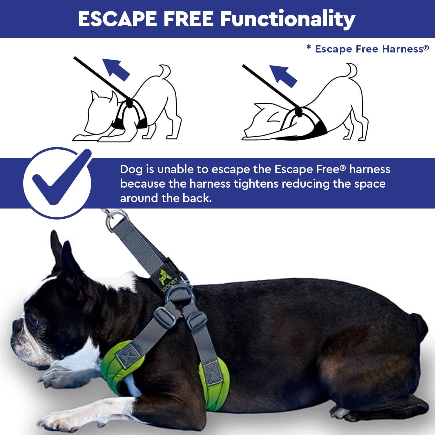 Gooby Escape Free Sport Harness cuatro puntos de ajuste: ajuste personalizado para perros pequeños a medianos