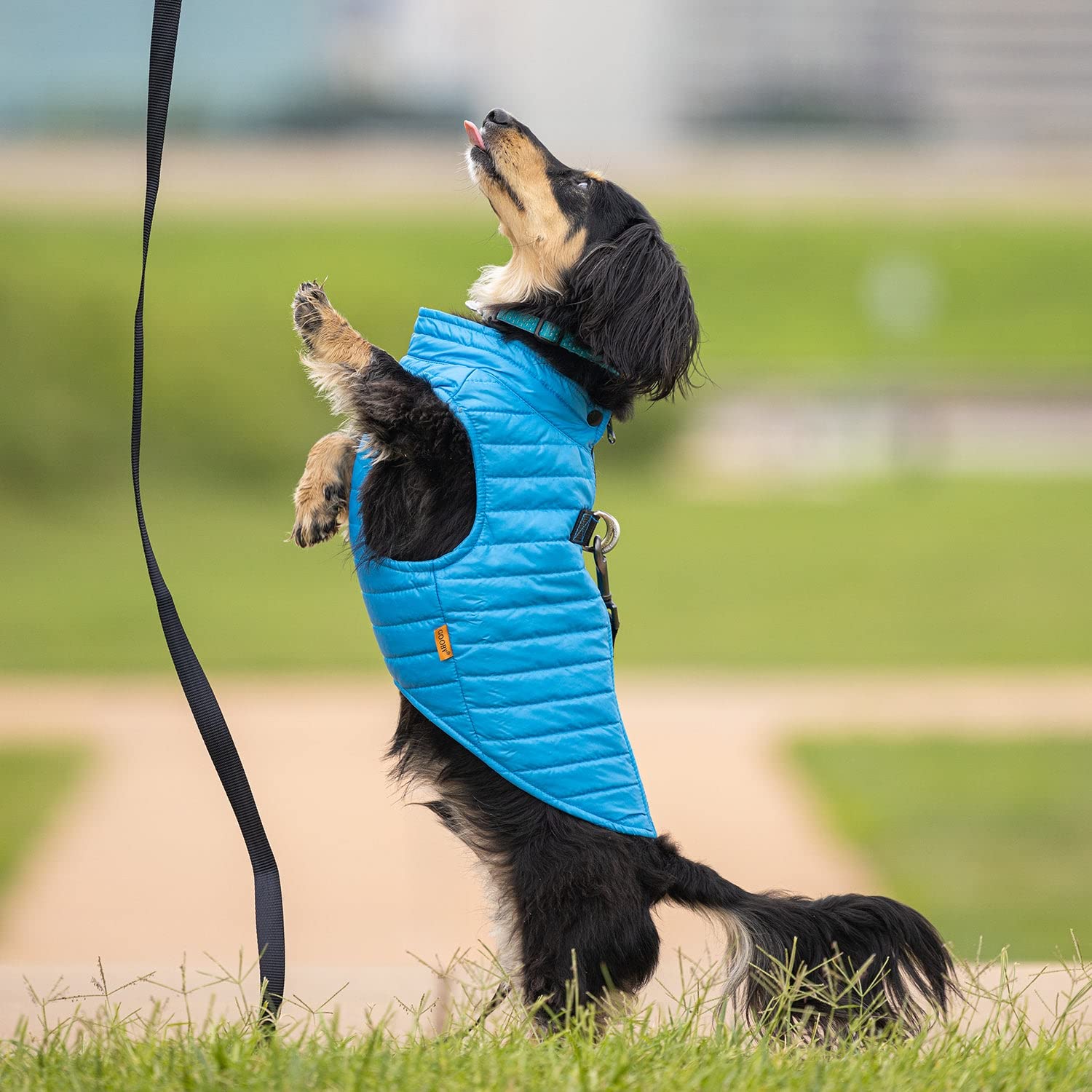 Gooby Puffer Vest azul bordes elásticos para ajuste cómodo.