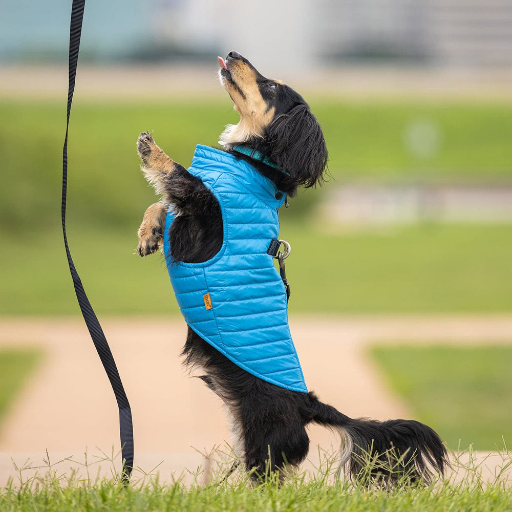 Gooby Puffer Vest azul bordes elásticos para ajuste cómodo.