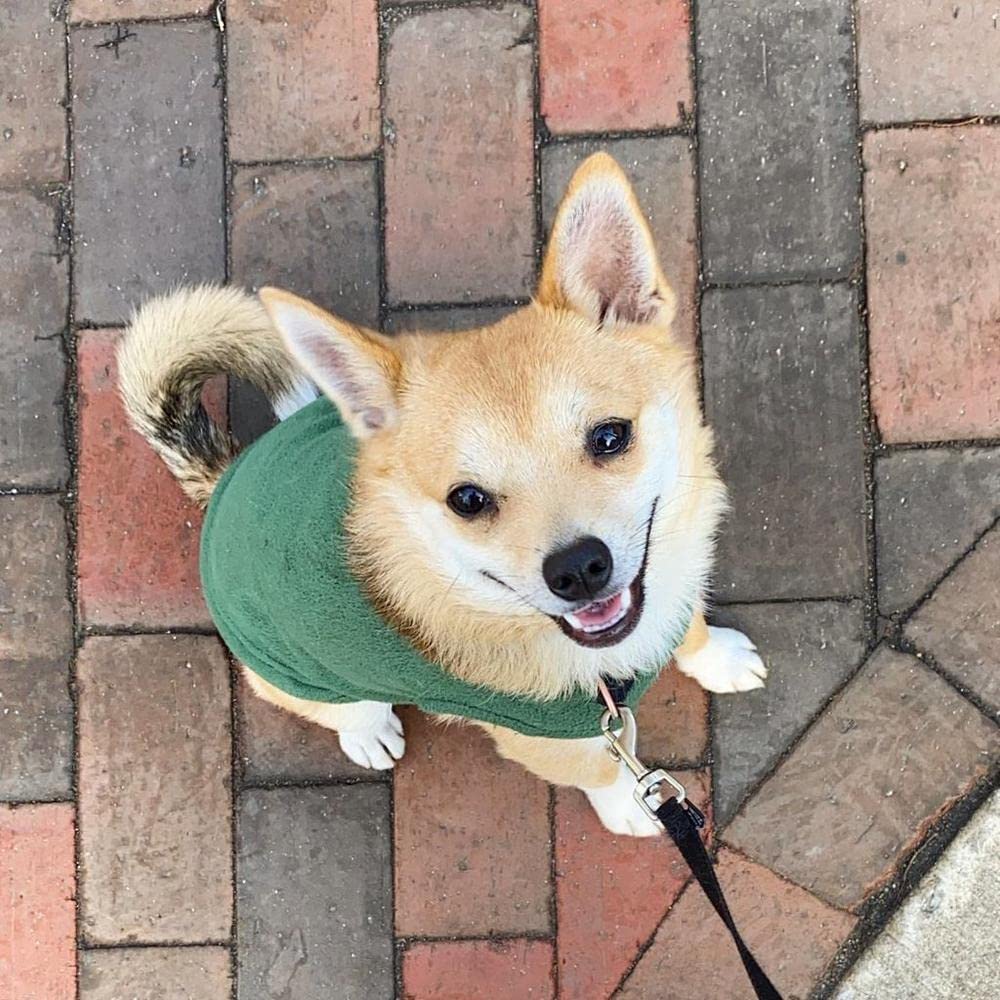 Gooby Stretch Fleece Vest, perfecto para paseos al aire libre y comodidad.