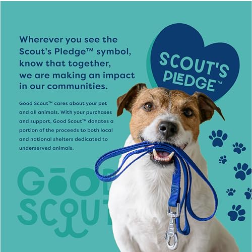 Good Scout uso exterior: juguete para perros resistente a lluvia y sol