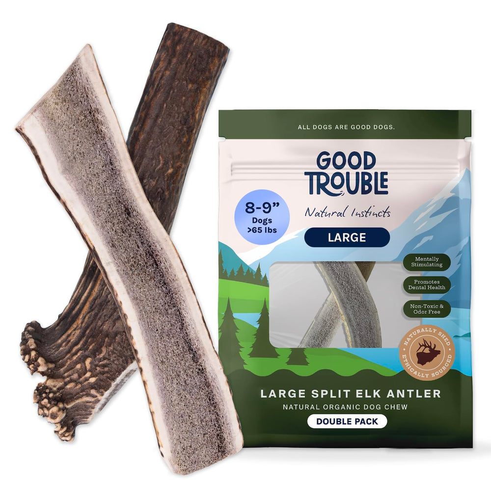 Good Trouble astas de alce divididas, dos piezas, mordida robusta para perros grandes