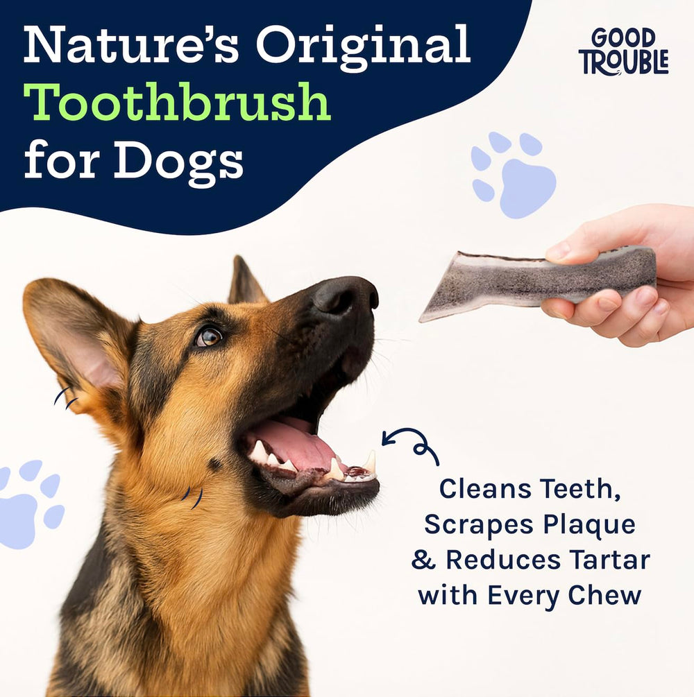 Good Trouble procedencia norteamericana sostenible, opción libre de crueldad para tu mascota.