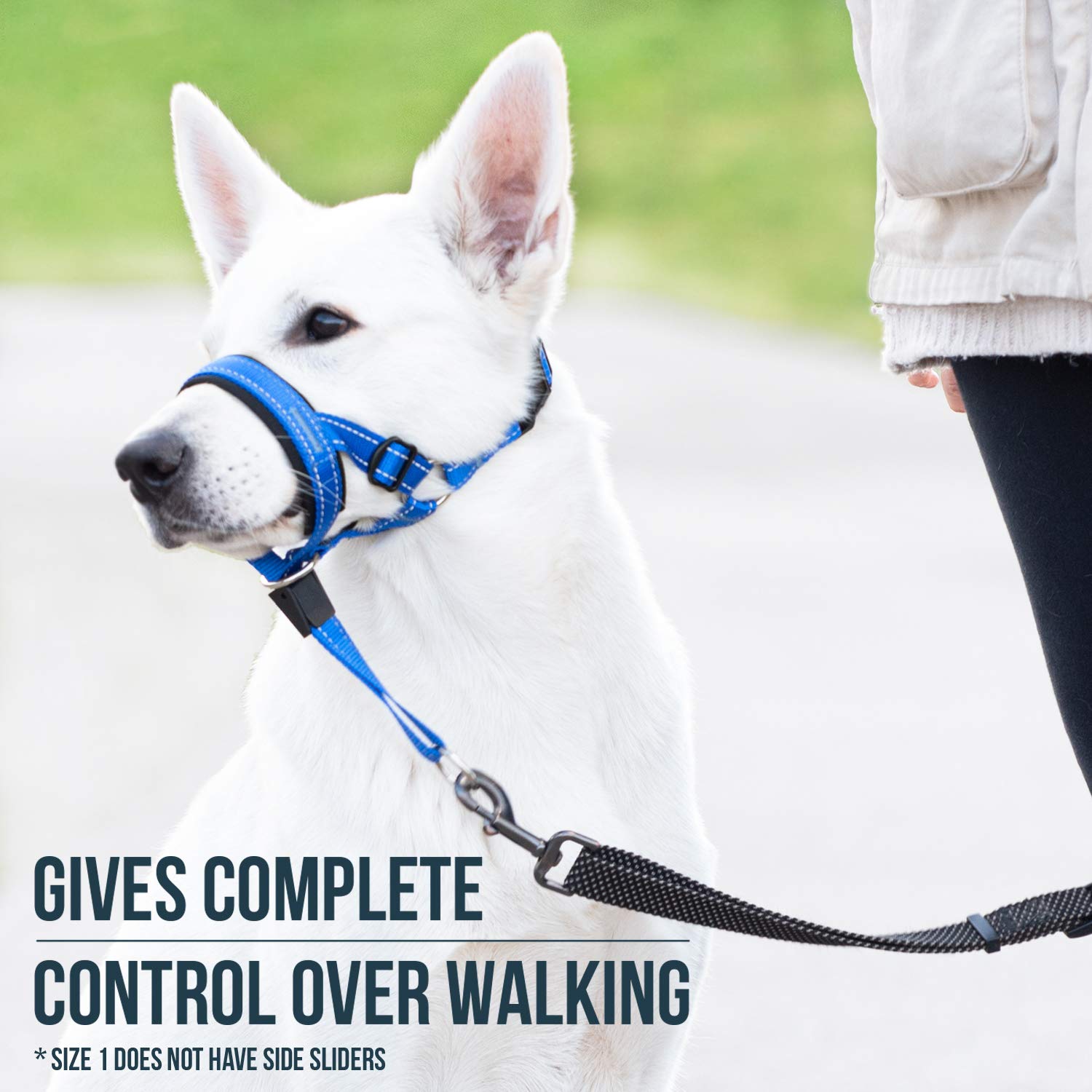 GoodBoy arnés acolchado en neopreno ofrece comodidad durante caminatas.