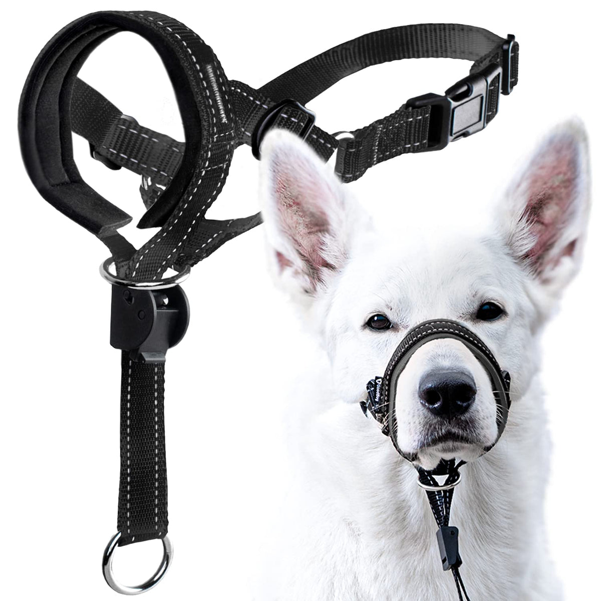 GoodBoy Arnés de Cabeza para Perro, vista frontal, ajuste cómodo para paseos.