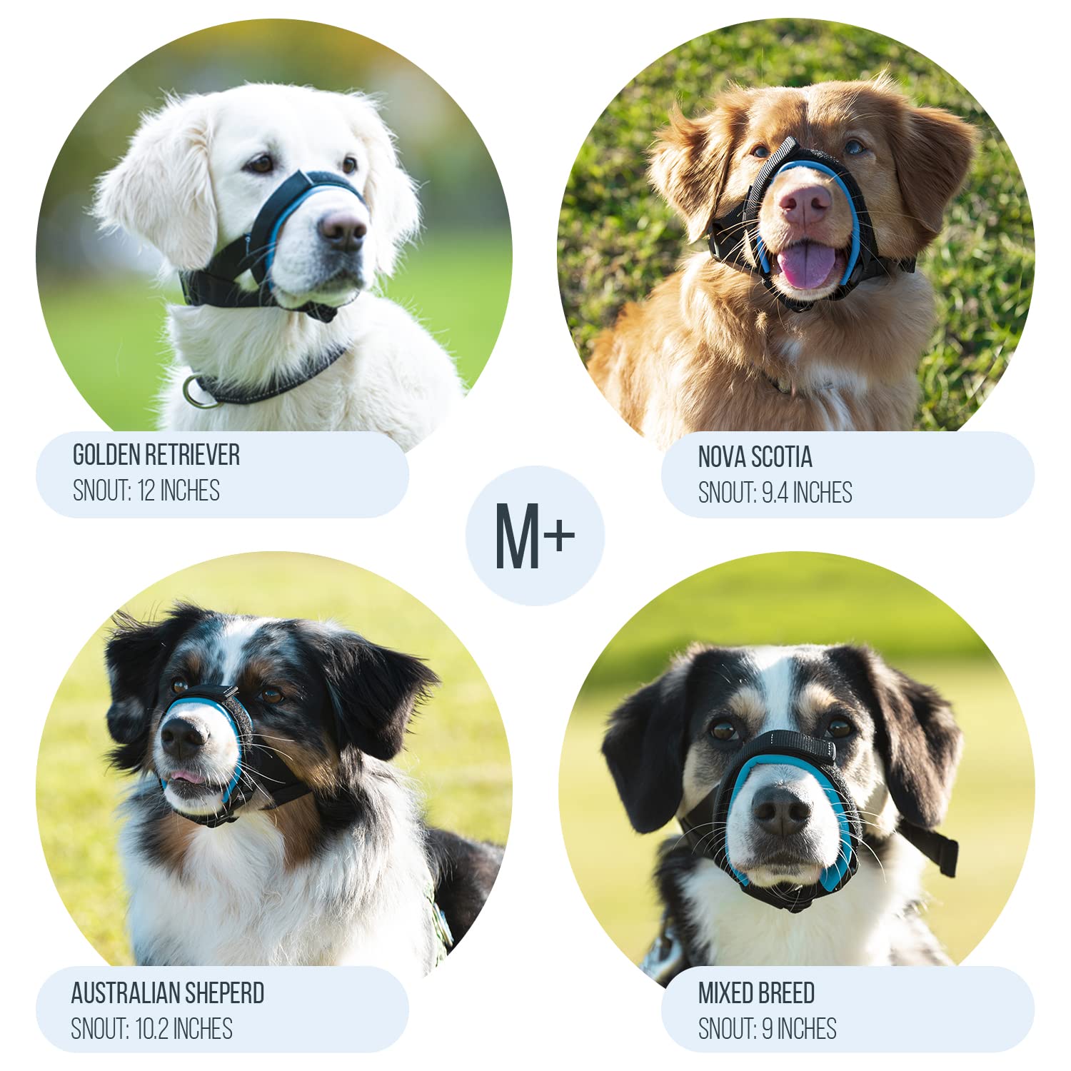 GoodBoy bozal diseño mejorado para reducir mordidas y masticación.