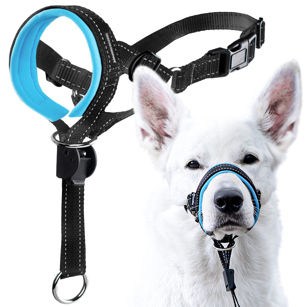 GoodBoy halter de cabeza para perros, foco en la cabeza, facilita el control en paseos