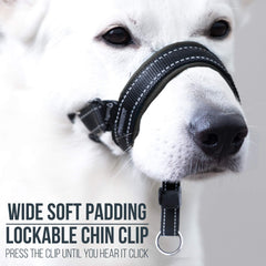 GoodBoy halter de cabeza con correa de seguridad para paseos seguros.