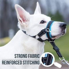 GoodBoy halter reflectivo costuras, mayor visibilidad nocturna