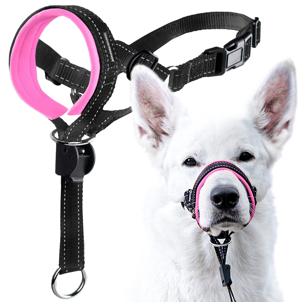 GoodBoy Head Halter con ajuste rapido para paseos mas controlados.