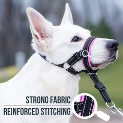GoodBoy Head Halter con guia de tallas para escoger la medida correcta.