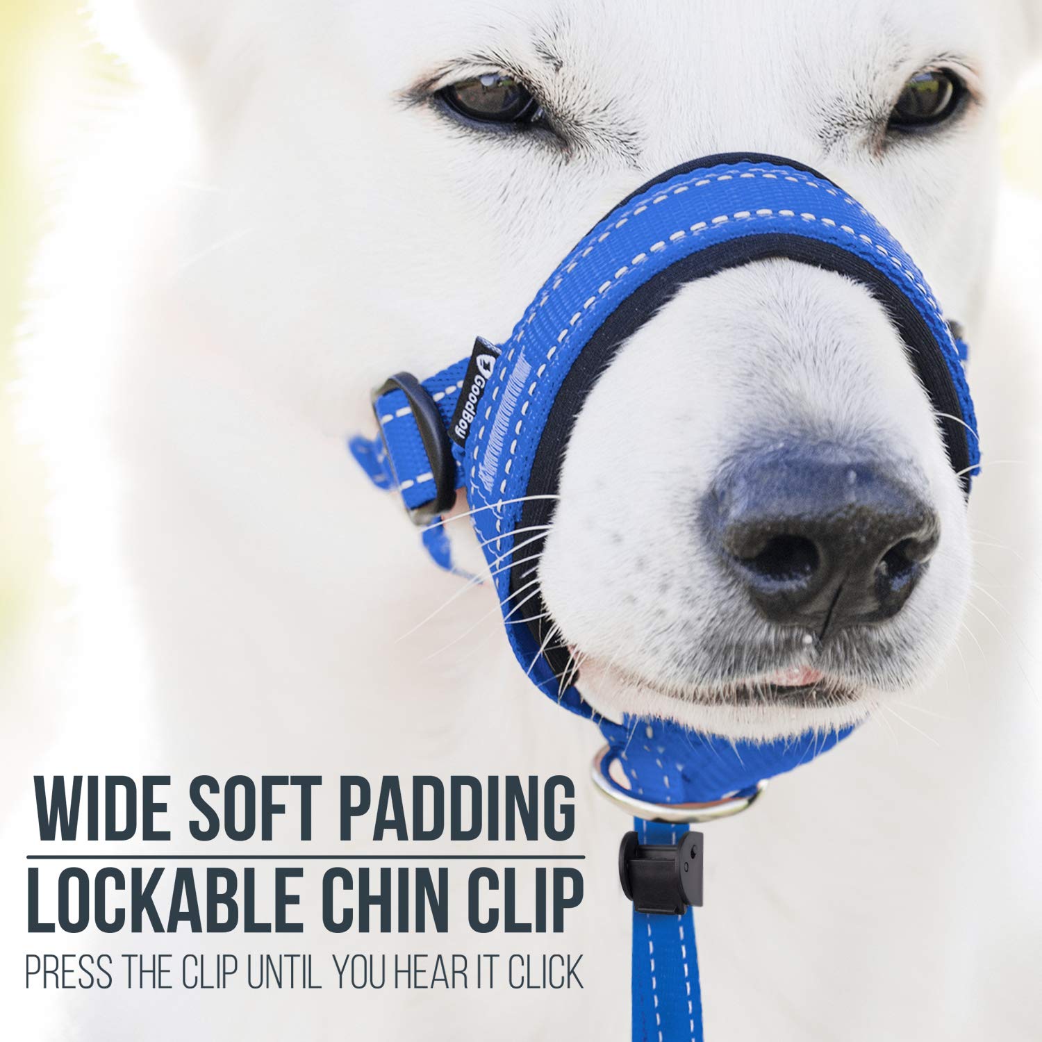 GoodBoy neopreno acolchado para mayor comodidad durante caminatas.
