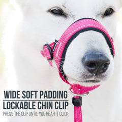GoodBoy neopreno acolchado, comodidad superior para perros durante caminatas largas.