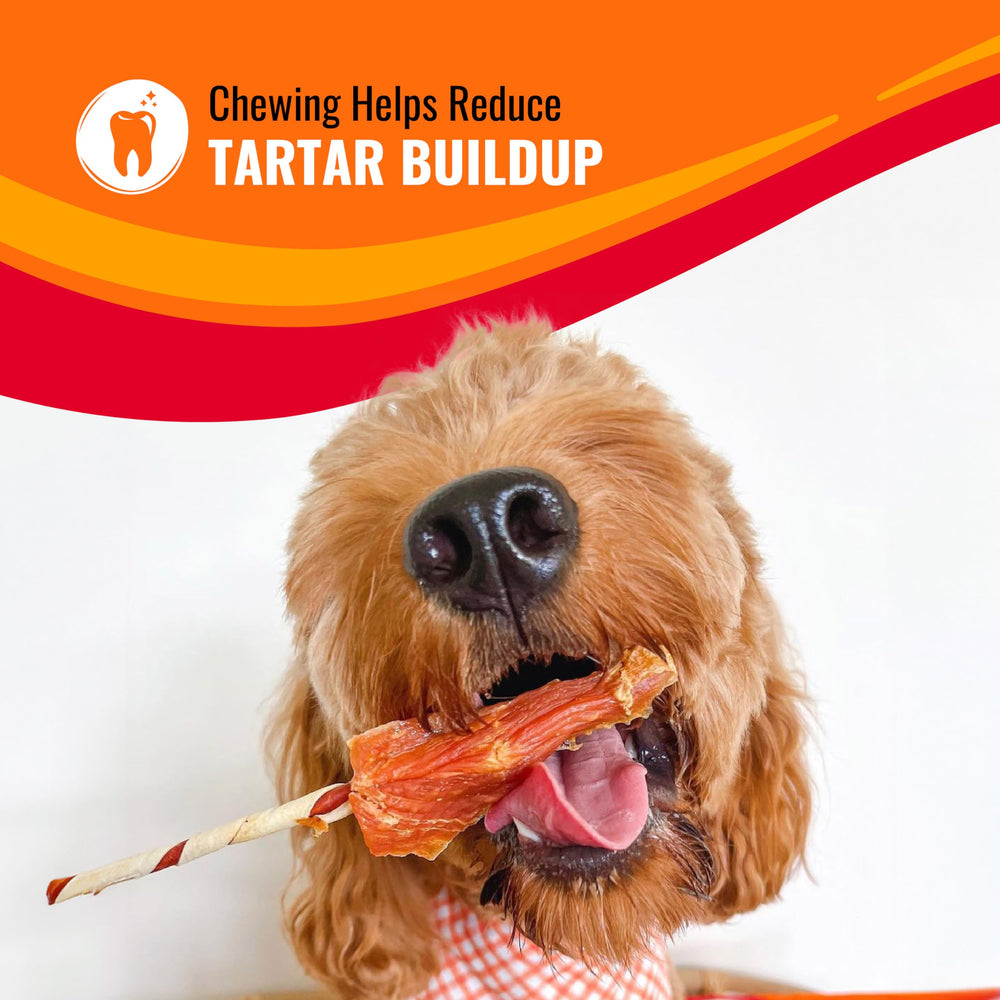 Good'n'Fun kabobs forma unica para entretenimiento prolongado