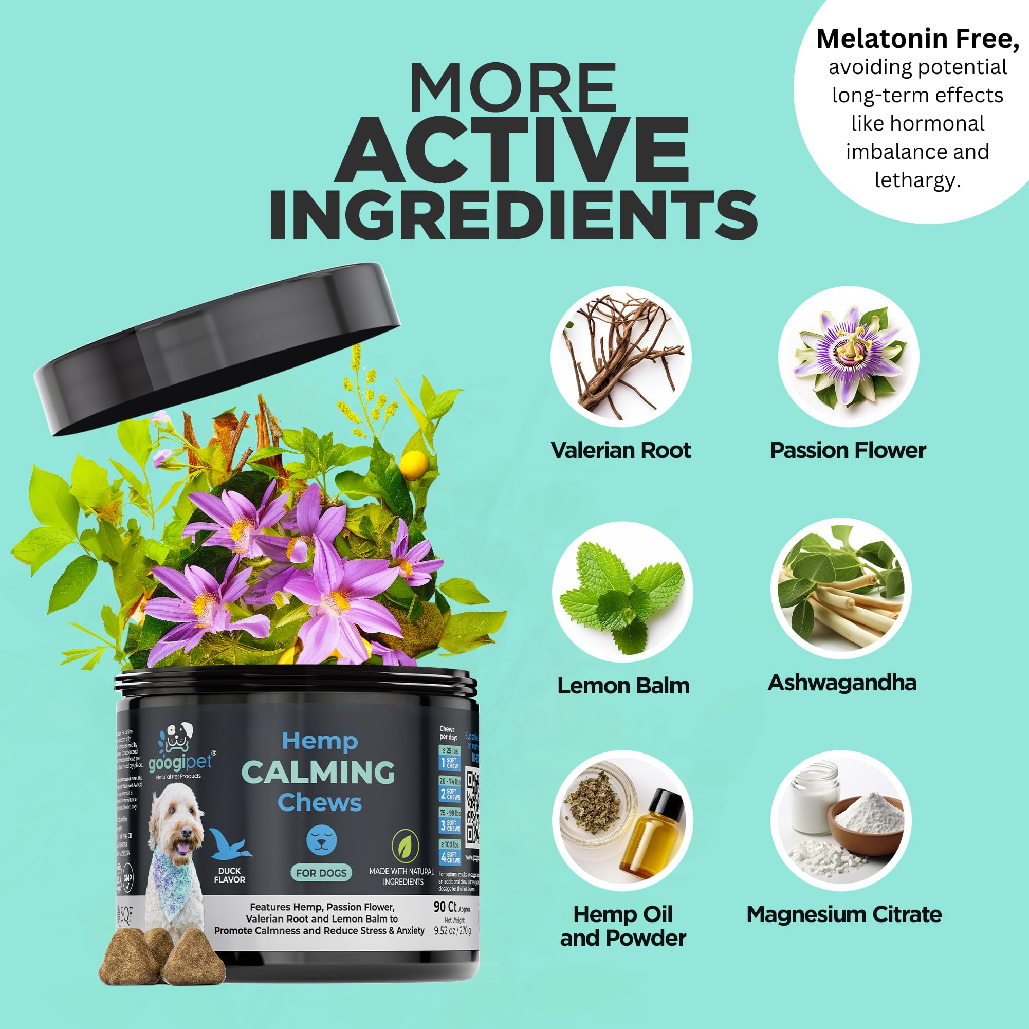 GOOGIPET Daily Hemp Calming Chews, escena de separación y calma.