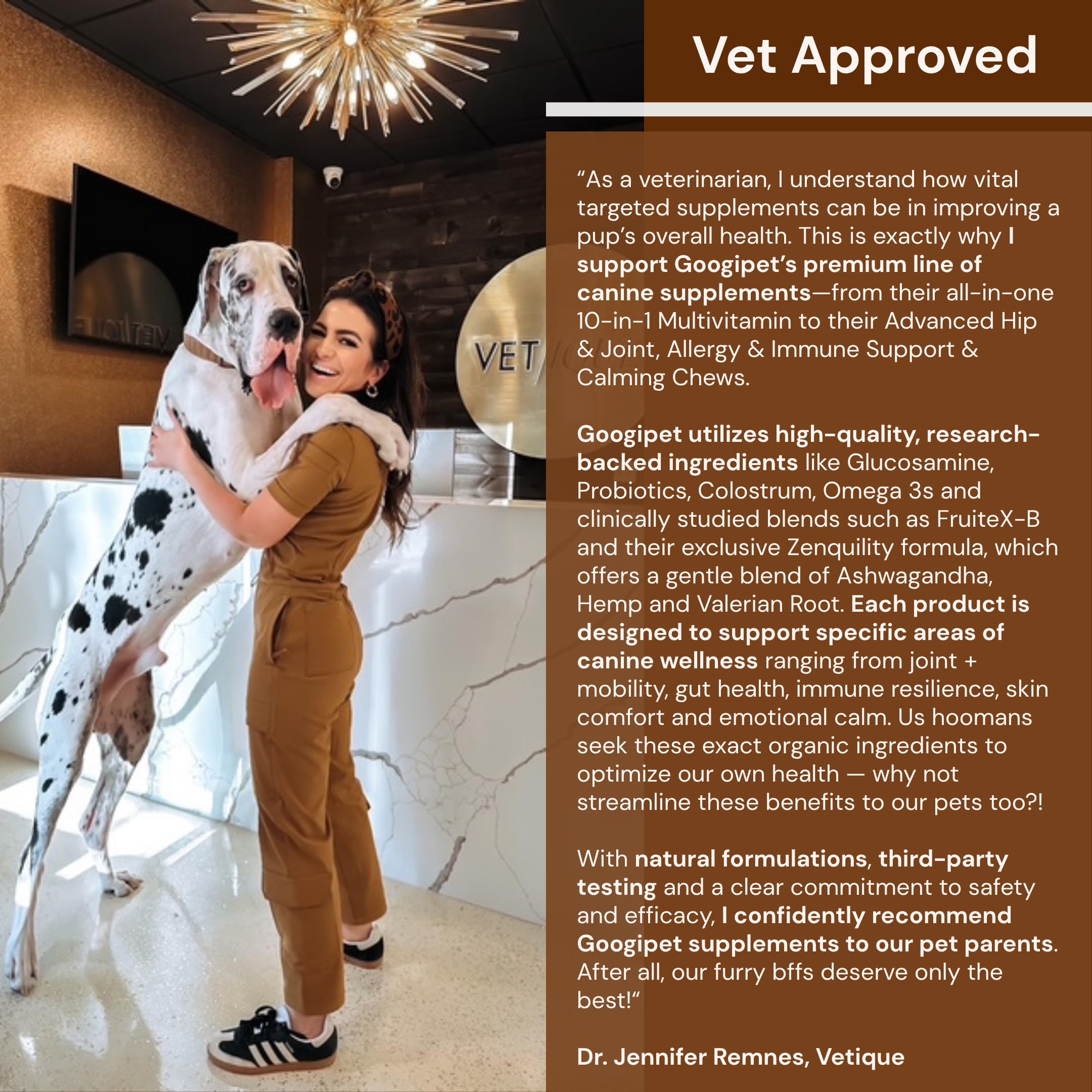 Googipet Premium 10 en 1: cúrcuma para apoyo inflamatorio natural.