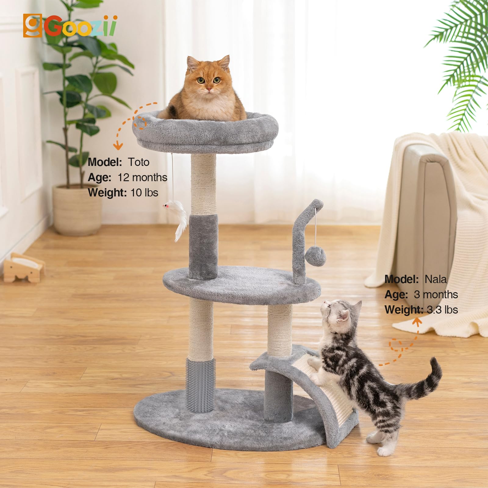 Goozii torre para gatos con cama alta, refugio cómodo.