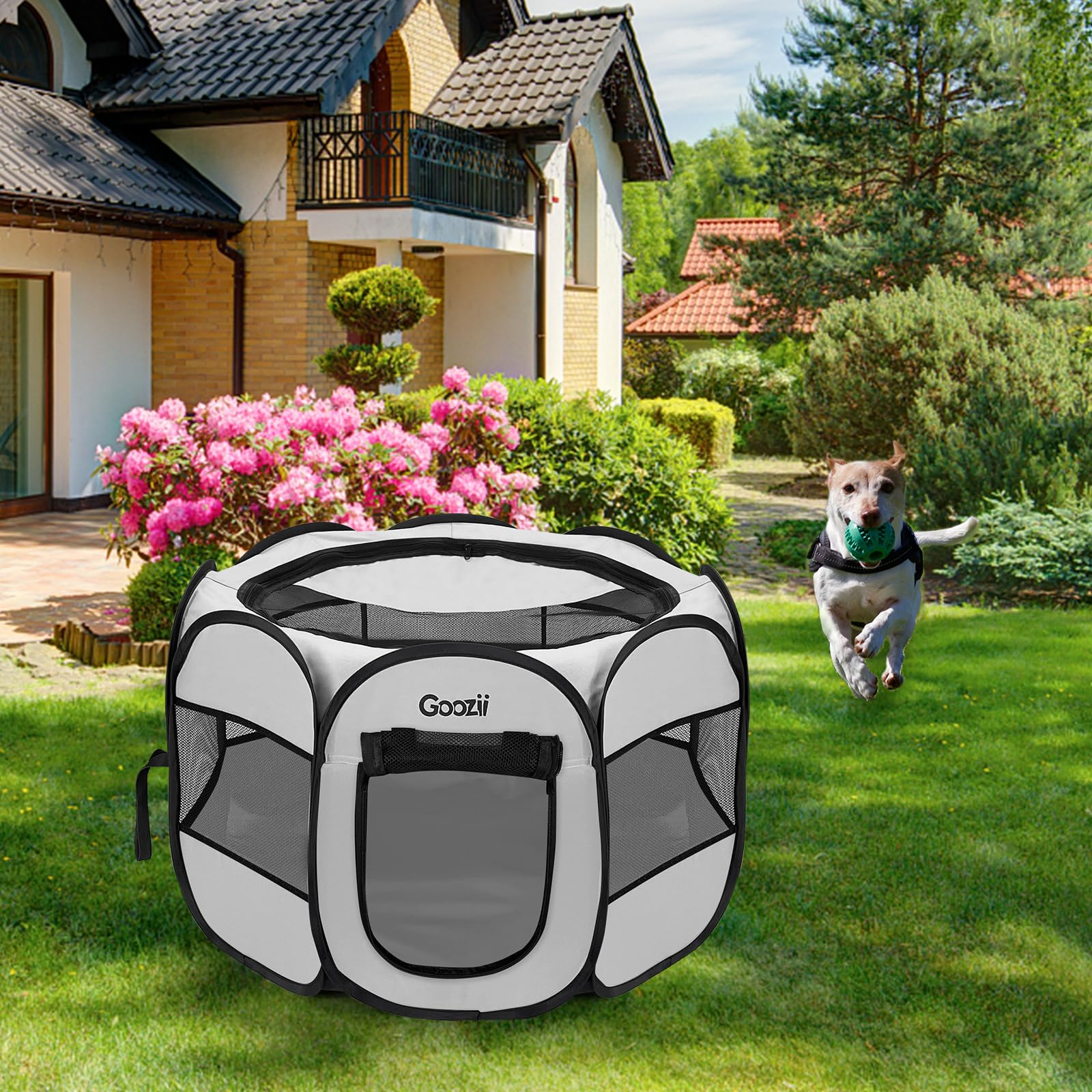 Goozii uso mixto interior-exterior para varias mascotas