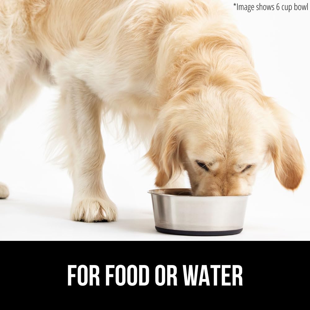 Tazones Gorilla Grip para perros y gatos, servicio diario de comida y agua.