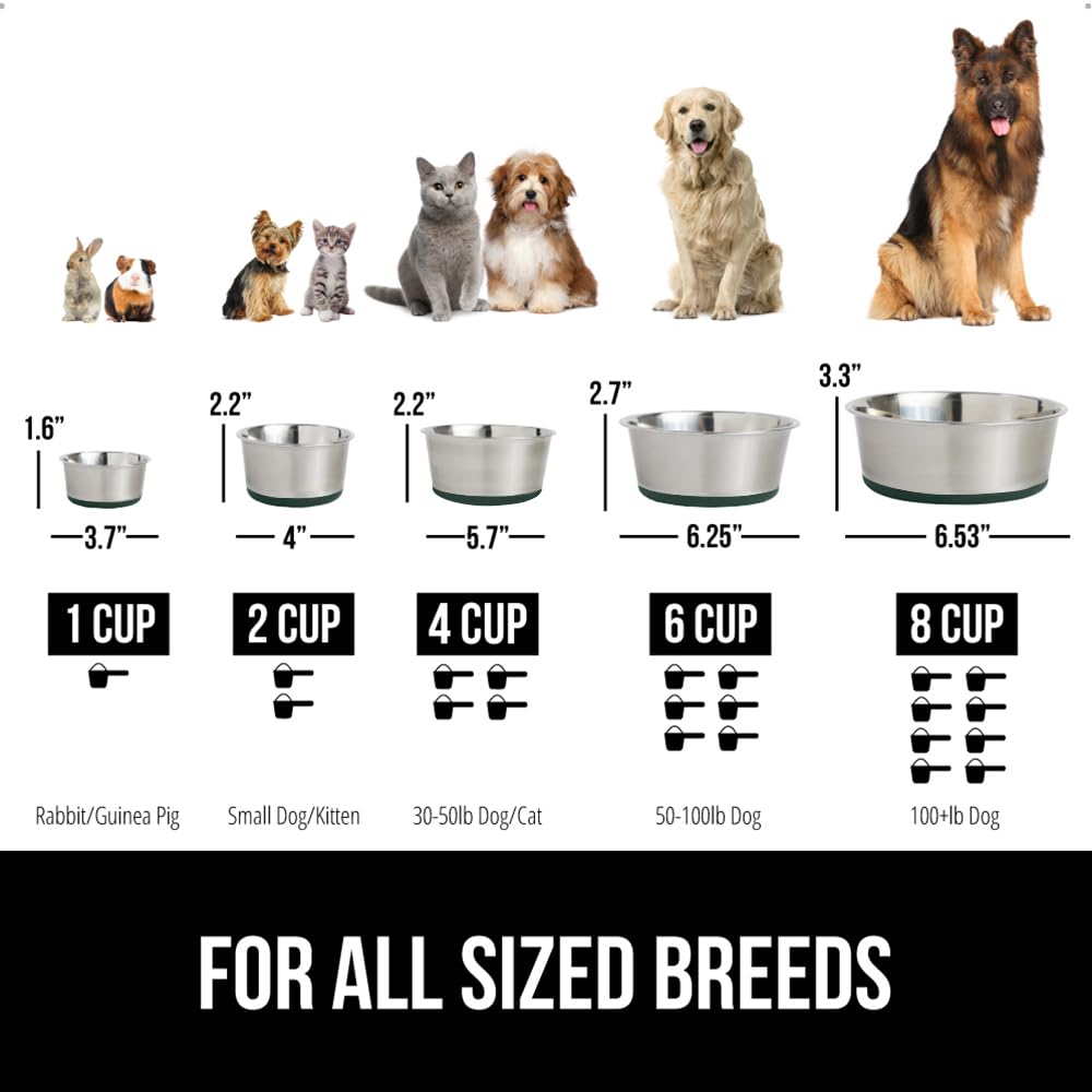 Tazones seguros y ergonómicos para mascotas
