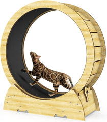 Rueda de ejercicios Gornoxblif para gatos 36 pulgadas, fomenta ejercicio diario.