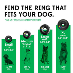 Juguete Goughnuts, sin pedazos menores, mayor seguridad para mascotas curiosas.