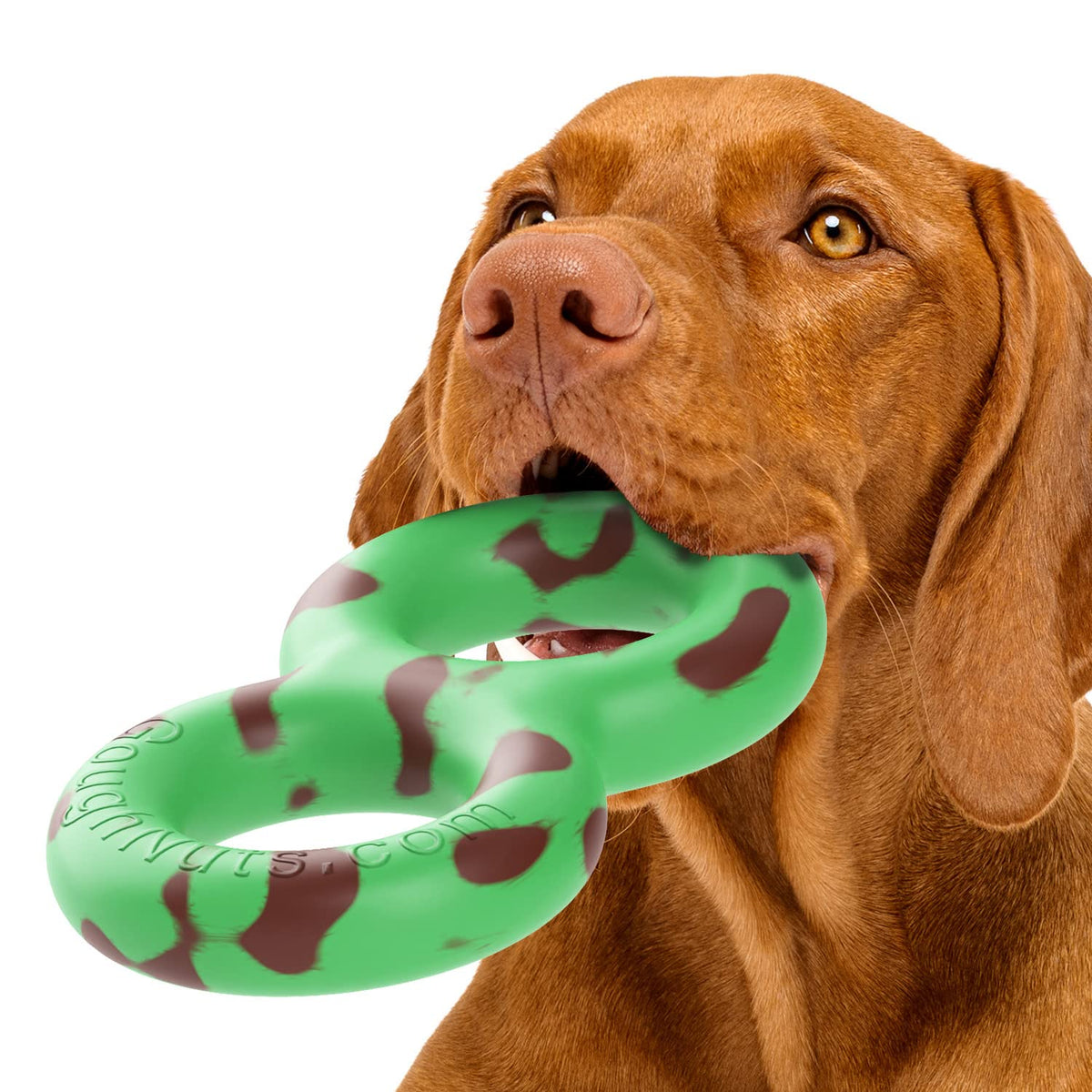 Goughnuts, juguete de tira mediano verde para mordedores agresivos.
