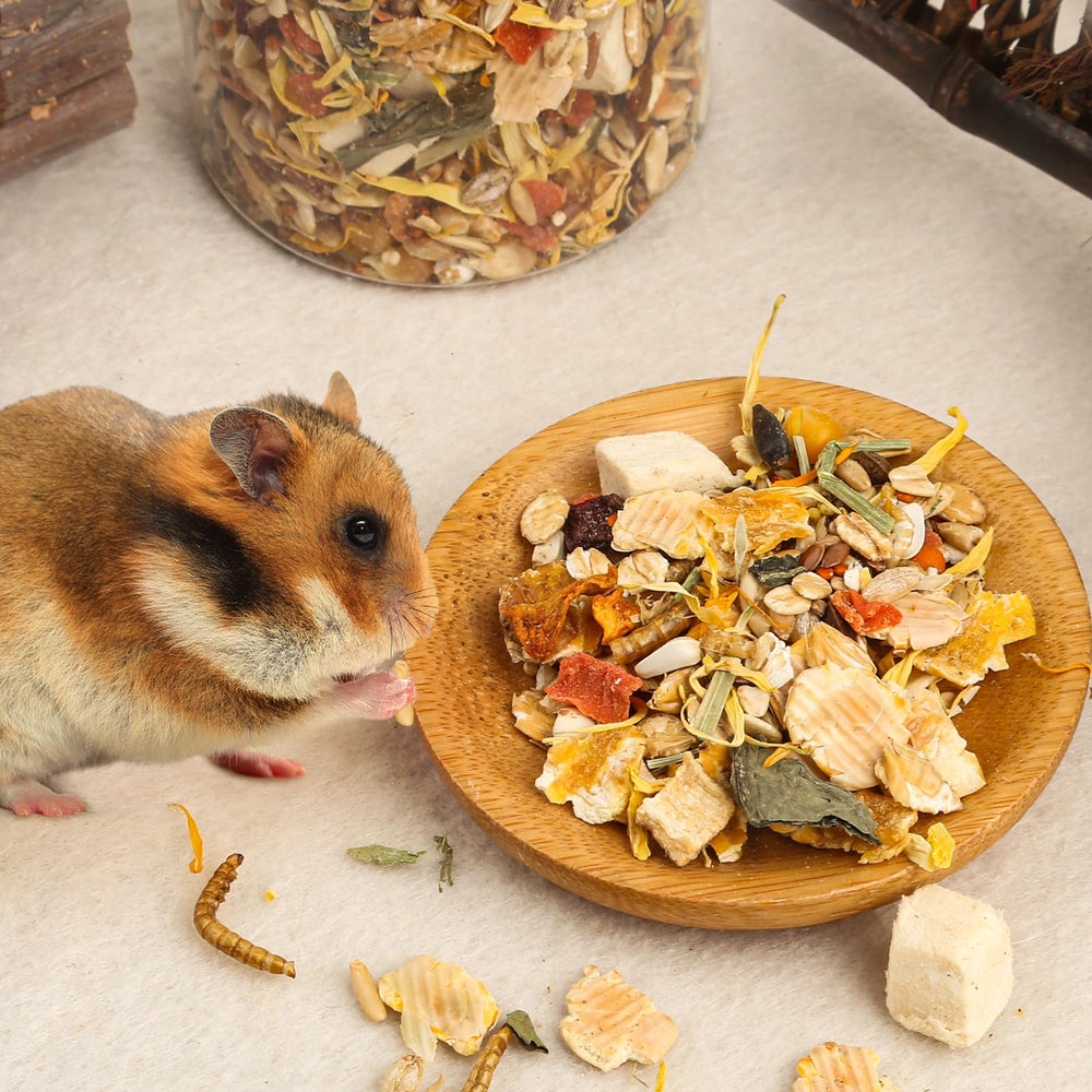 Gourmet Hamster Gerbil Food: empaque de 270 g para alimentar a tu mascota