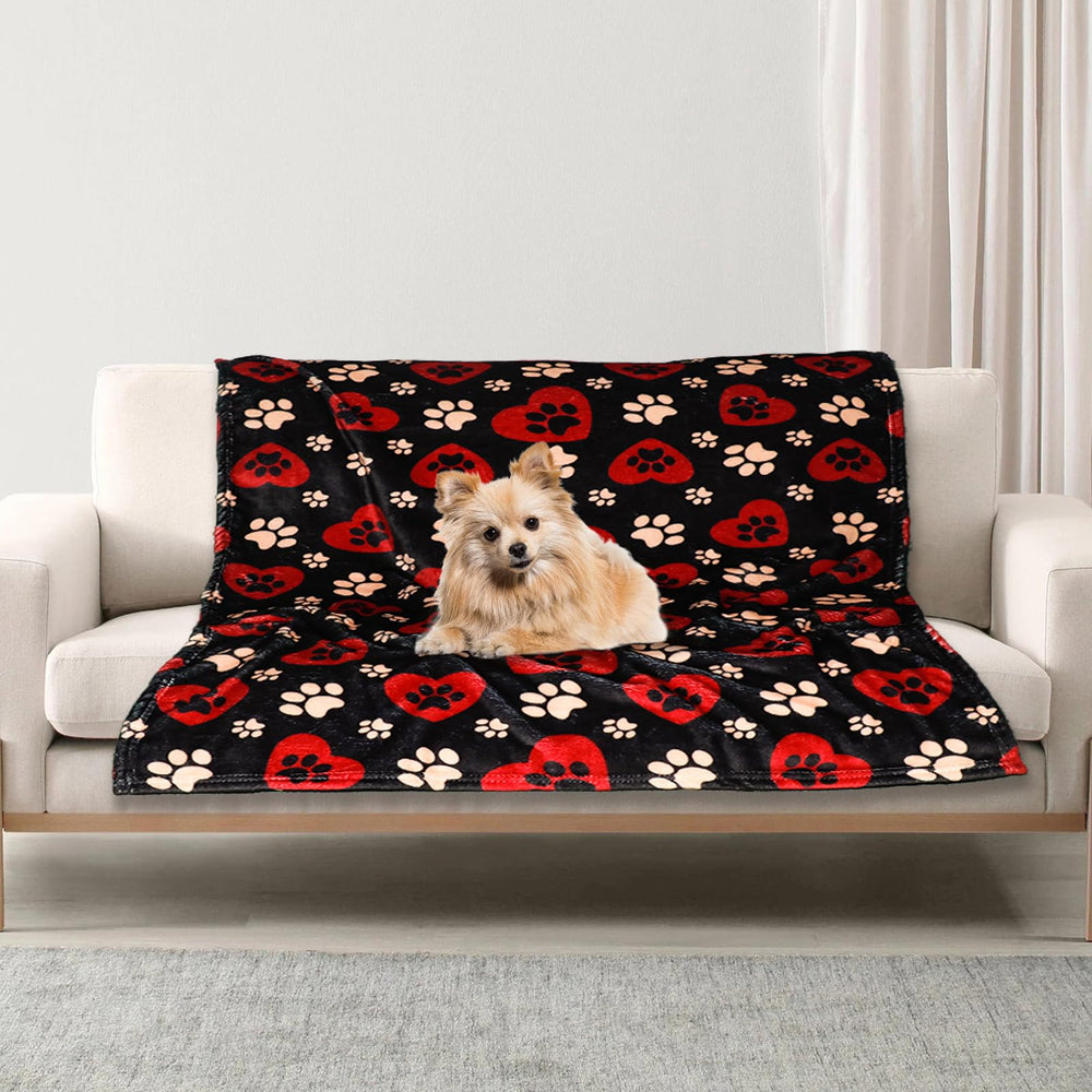 Manta Gowyeg para perros grandes 50x40, vista frontal en sofá, cálida y suave.