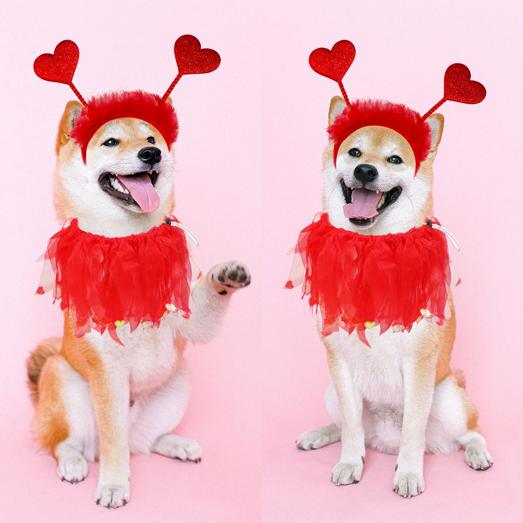 Collar GOYOSWA para perro con lazos rojos y corazones, perfecto para celebraciones.